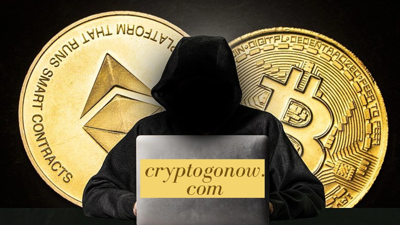 cryptogonow.com